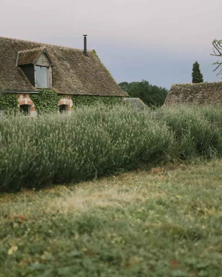 Iris & Caleb — Stone Barn — weddings project cover