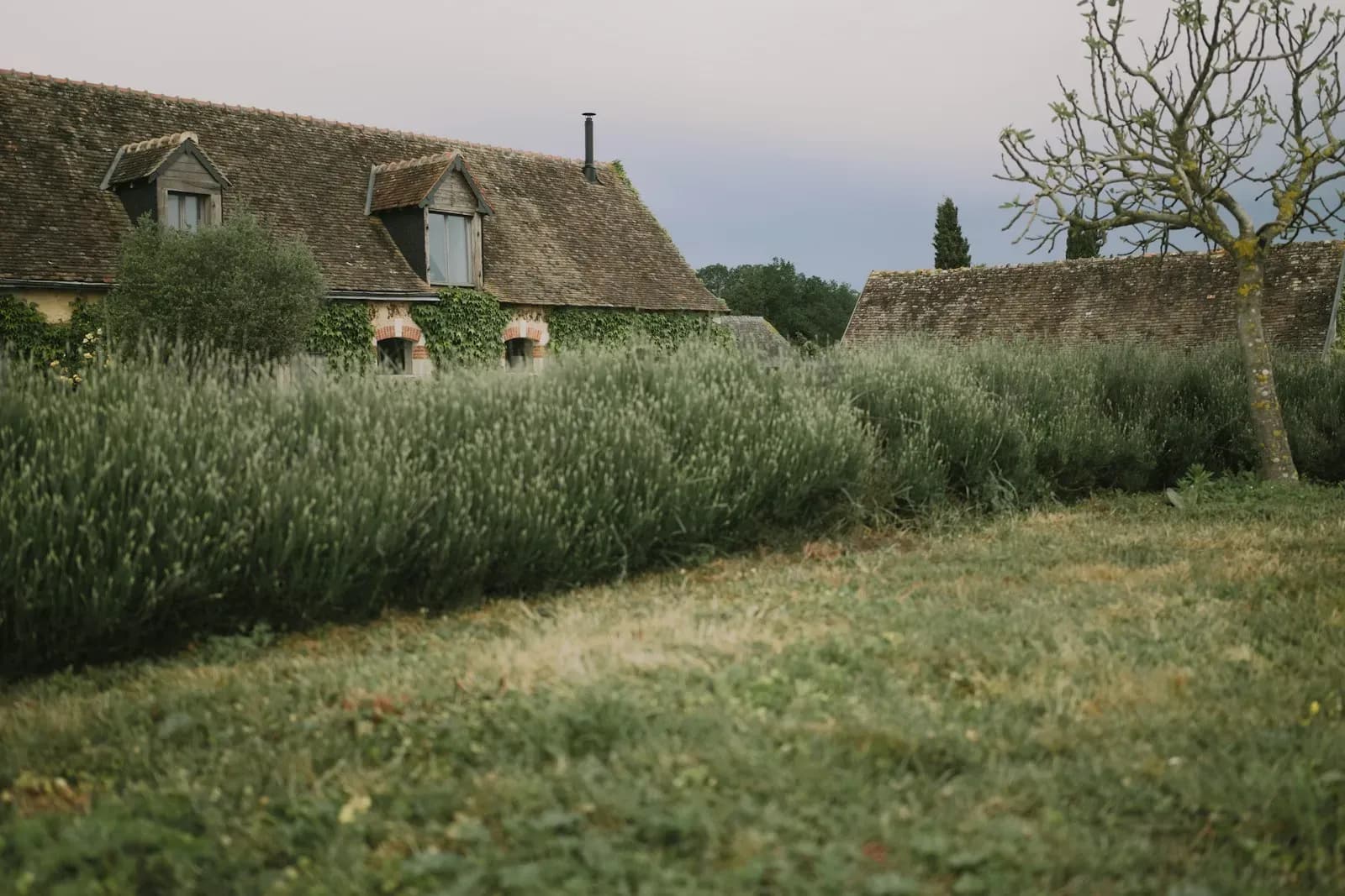 Iris & Caleb — Stone Barn — weddings project cover