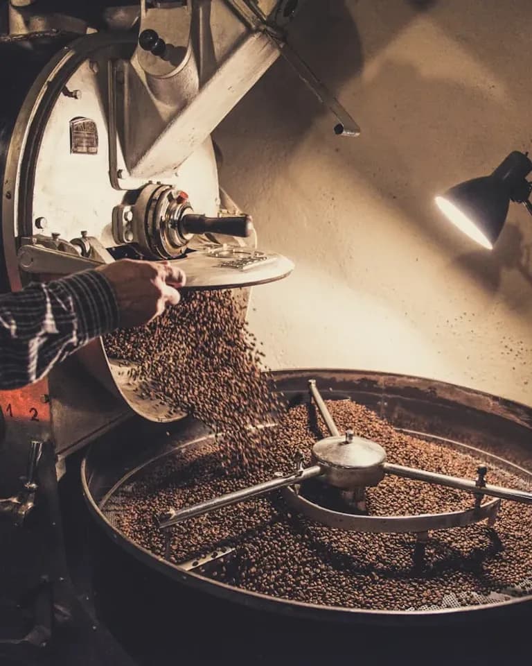 Field Notes — Marlowe Coffee — commercial project cover