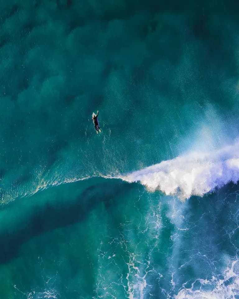 North Pacific — Field Study — travel project cover