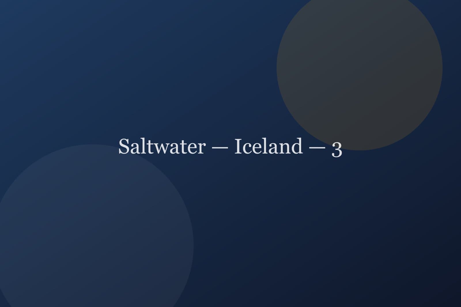 Saltwater — Iceland — detail 3